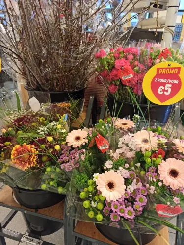 Delhaize Mouscron